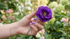 Na verdade, esta cor não existe — foi o teu cérebro que a inventou