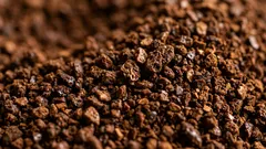 Por que não se deve moer o café com antecedência: o segredo da moagem na hora