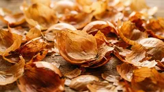 Casca de cebola em vez de produtos comprados na loja: como utilizá-las no jardim